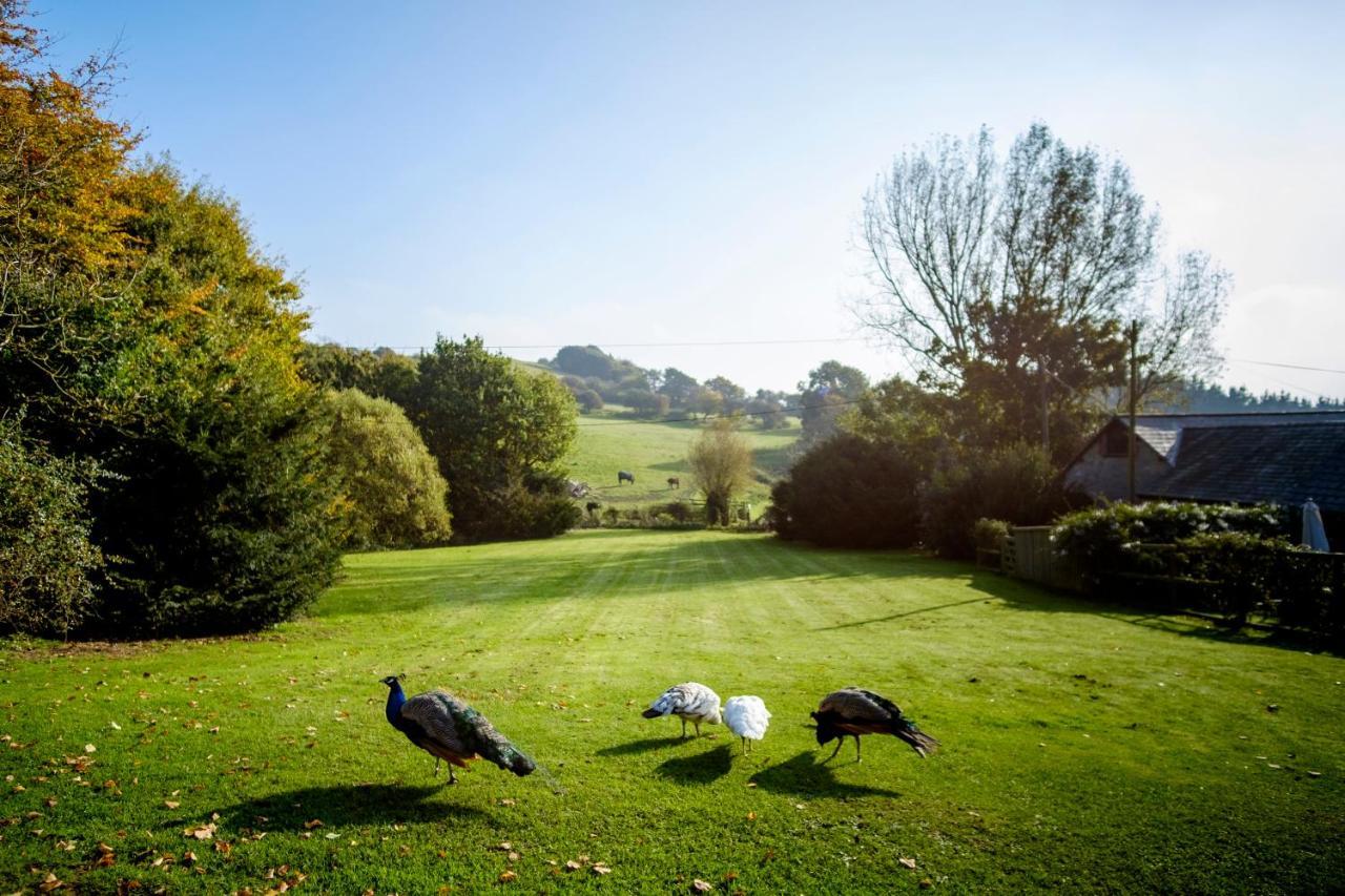 The Garlic Farm Villa Sandown Bagian luar foto