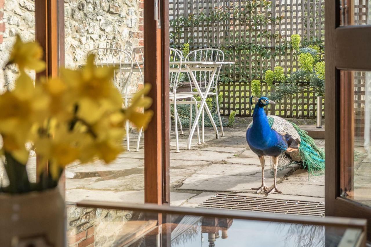The Garlic Farm Villa Sandown Bagian luar foto