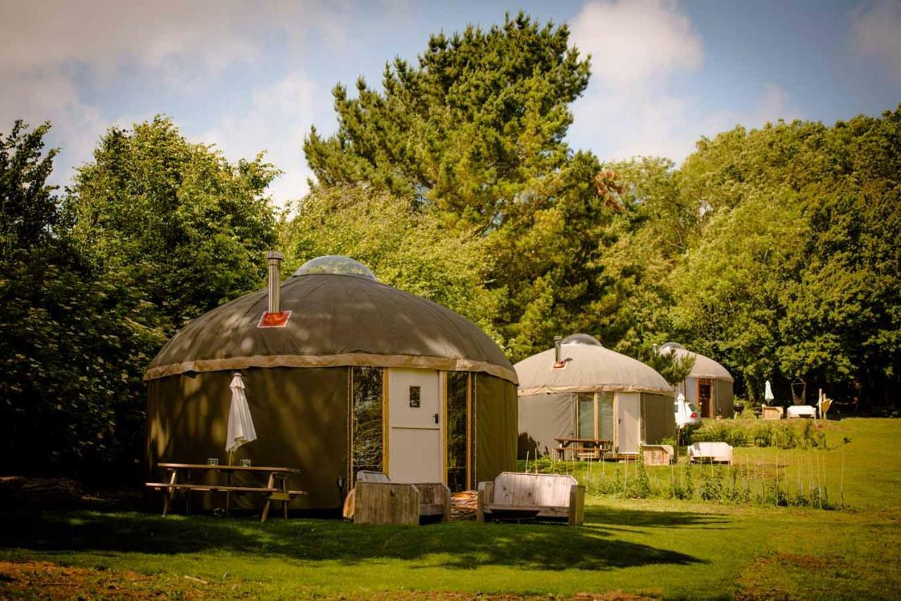 The Garlic Farm Villa Sandown Bagian luar foto